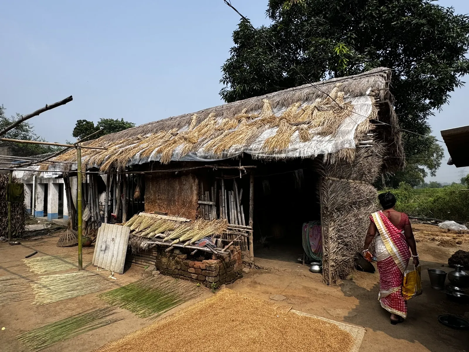 A thatched village homestead in Purulia, West Bengal